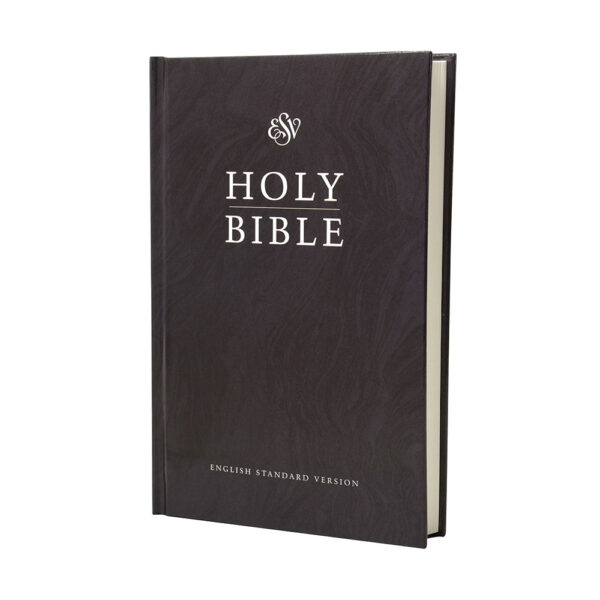 ENGLISH ESV complete Bible, medium size, black marble hardcover