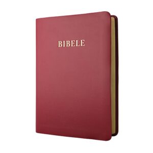 XITSONGA 1929 NO complete Bible, standard size, pink vinyl softcover, gilt-edged