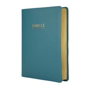 XITSONGA 1989 complete Bible, medium size, teal softcover, gilt-edged
