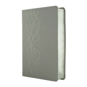 ENGLISH KJV complete Bible, large print edition, medium size, grey bonded leather cover, silver-edged, ribbon marker